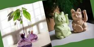 辦公室 招財植物
